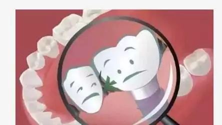 牙齿在生活中的作用_牙齿有关知识_有关牙齿的生活常识