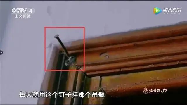 钟南山大学_游泳冠军钟惟月_钟南山女儿游泳冠军
