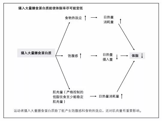 健身教练营养书_健身教练营养知识_健身教练营养学