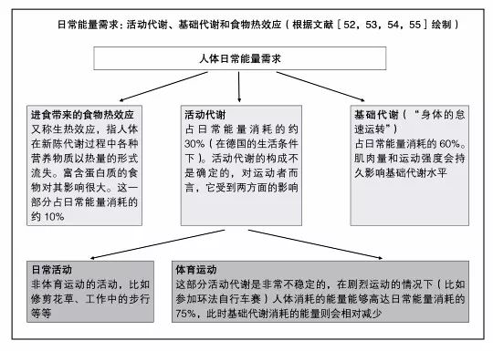 健身教练营养学_健身教练营养知识_健身教练营养书